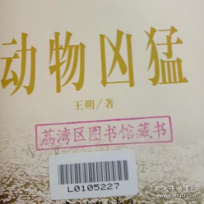 动物凶猛
