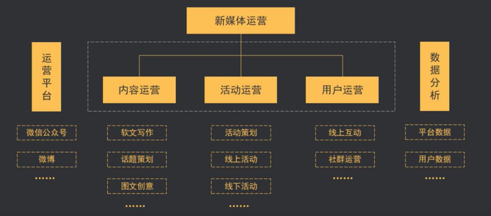 内容运营实操指南，从入门到精通全揭秘