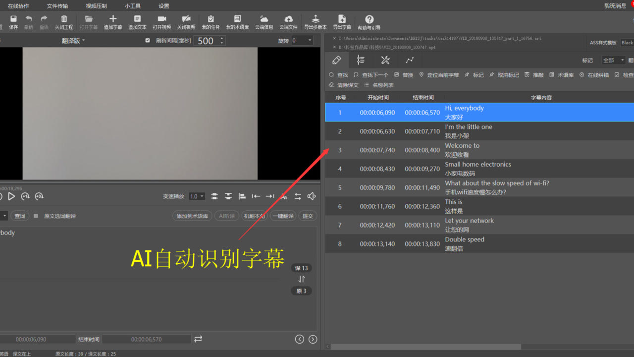 AI辅助多语言视频字幕生成指南