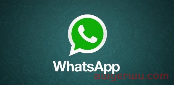 WhatsApp群公告阅读率飙升秘籍，10大优化技巧实现秒看效果！