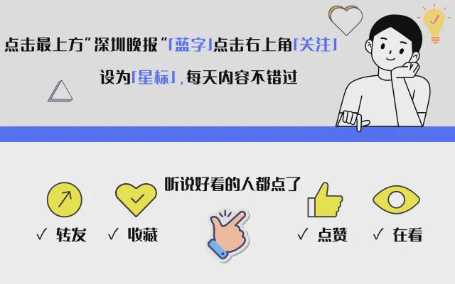 打造粉丝信任的个人标签，从定位到传播的实战指南