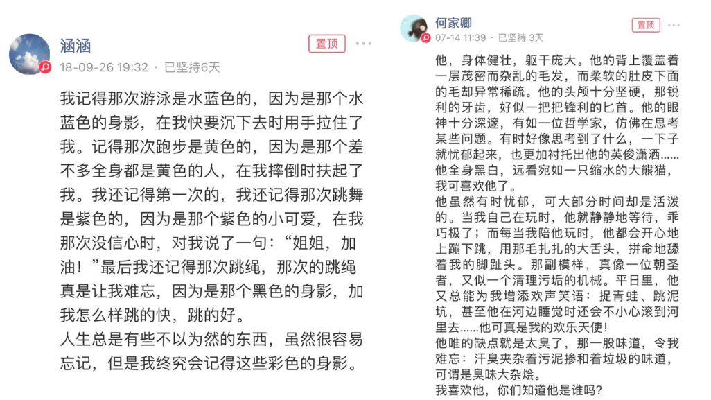 每天30分钟高效写作训练法，新手快速产出干货实战指南